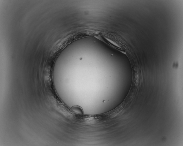 X0000115640616200911241713