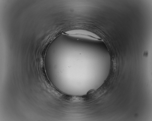 X0000115640617200911241713