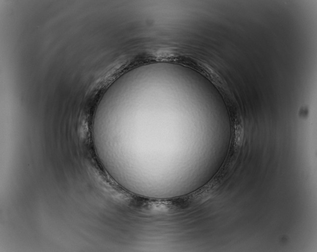 X0000115640618200911241713