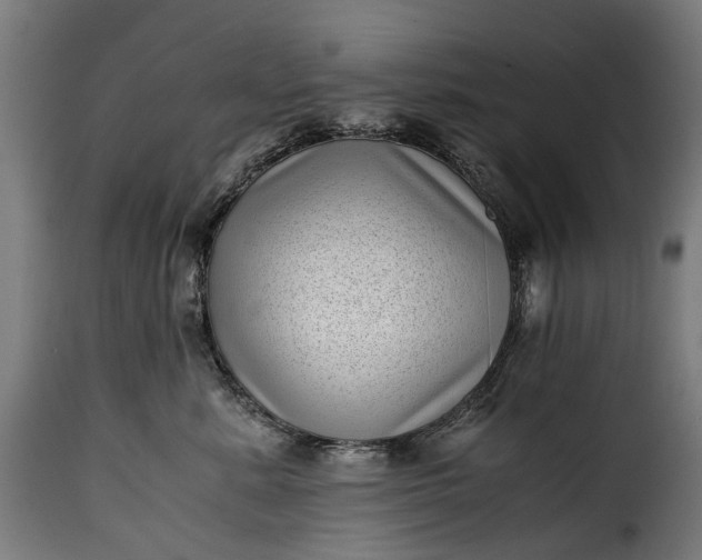 X0000115640619200911241713