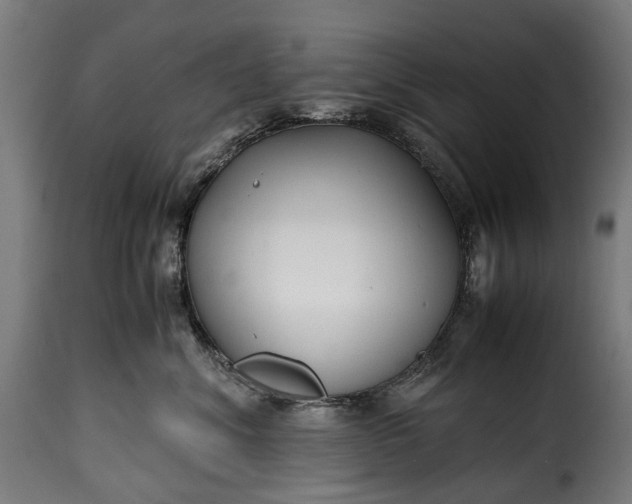 X0000115640620200911241713