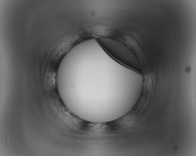 X0000115640621200911241713