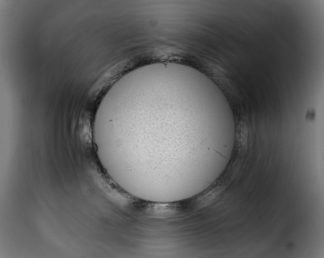 X0000115640622200911241712