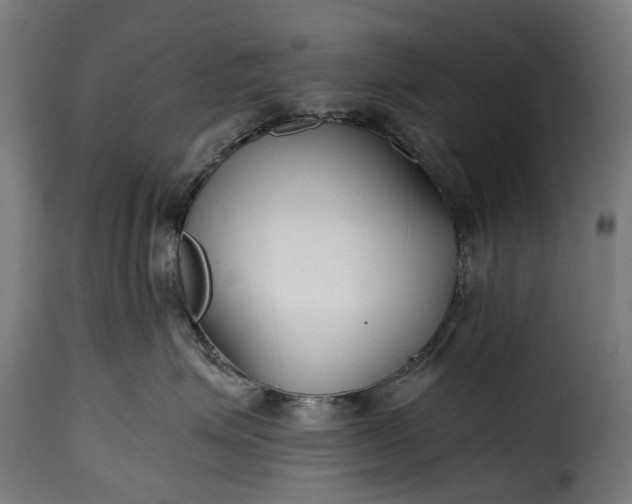 X0000115640623200911241712