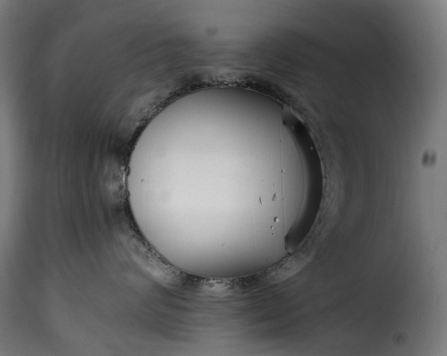 X0000115640624200911241712