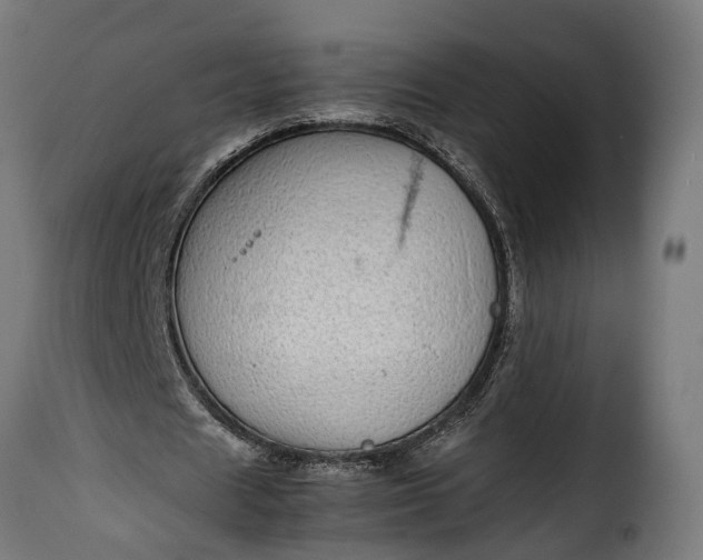 X0000115640625200911241712