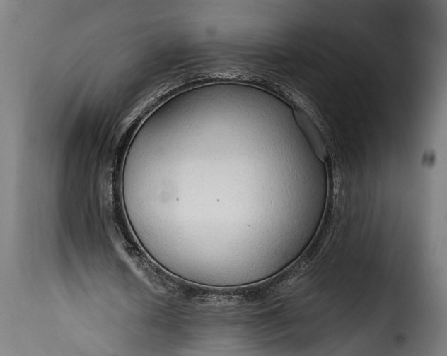 X0000115640626200911241712