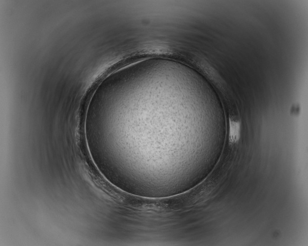 X0000115640627200911241712