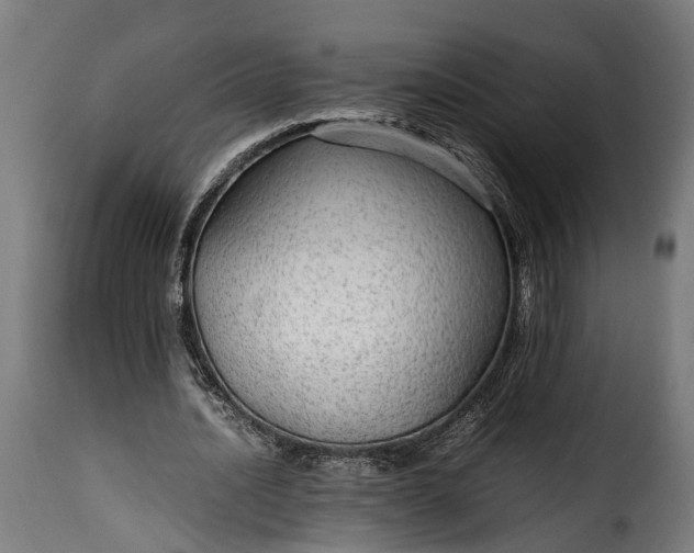 X0000115640628200911241712