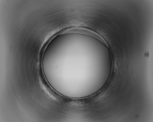 X0000115640630200911241712