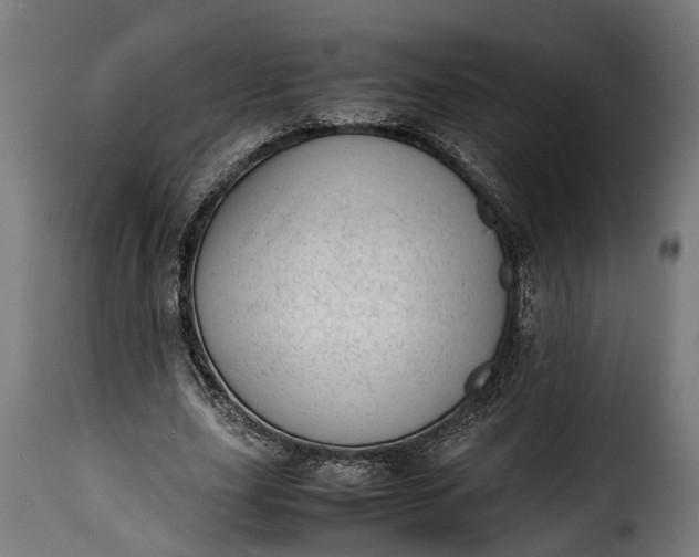 X0000115640631200911241712