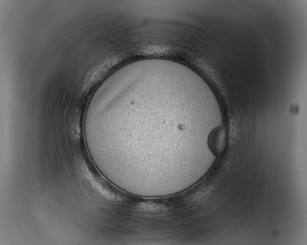 X0000115640633200911241712