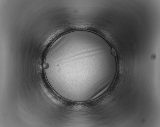 X0000115640634200911241712