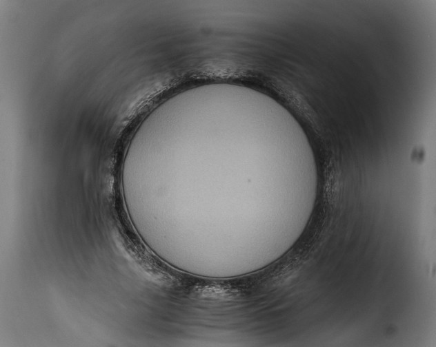 X0000115640635200911241712