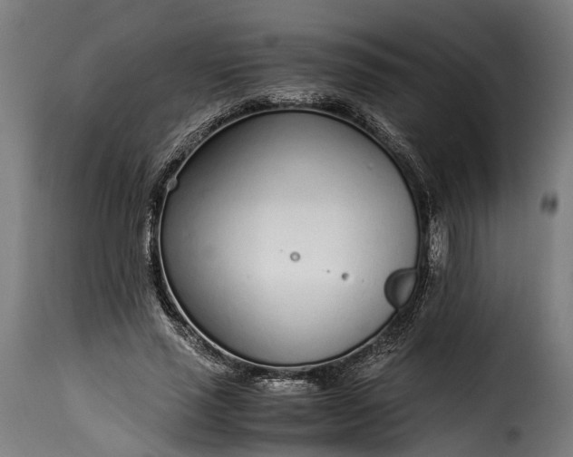 X0000115640637200911241712