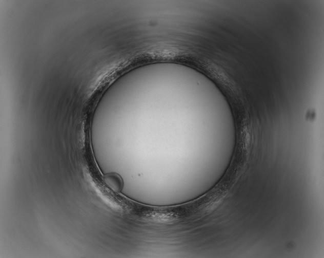 X0000115640638200911241712