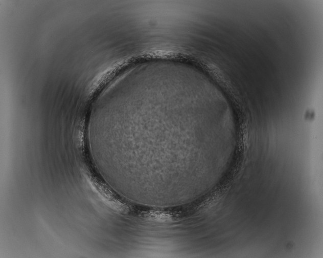 X0000115640640200911241712