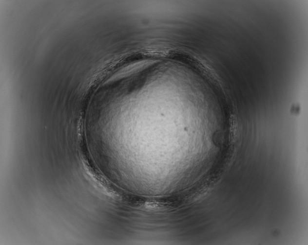 X0000115640641200911241712