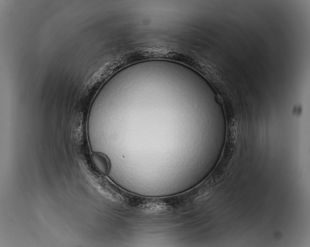 X0000115640642200911241712