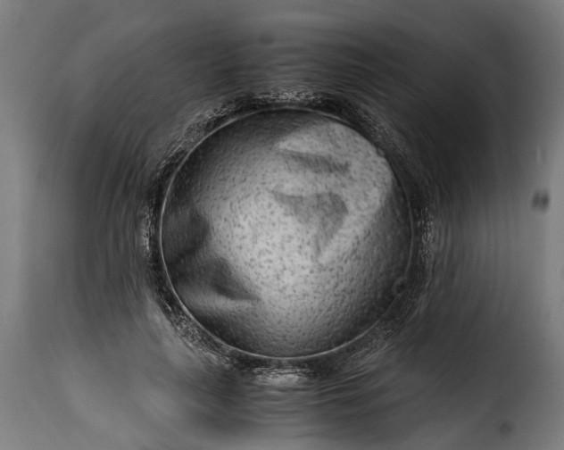 X0000115640643200911241712