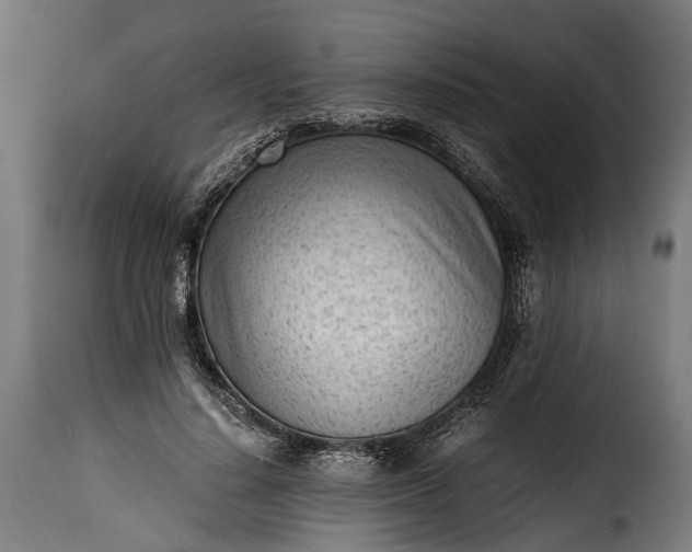 X0000115640644200911241712