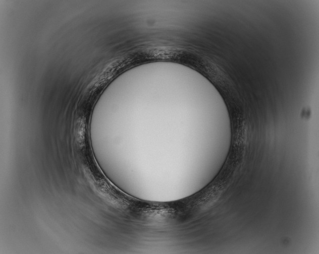 X0000115640646200911241712