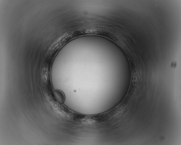 X0000115640648200911241712