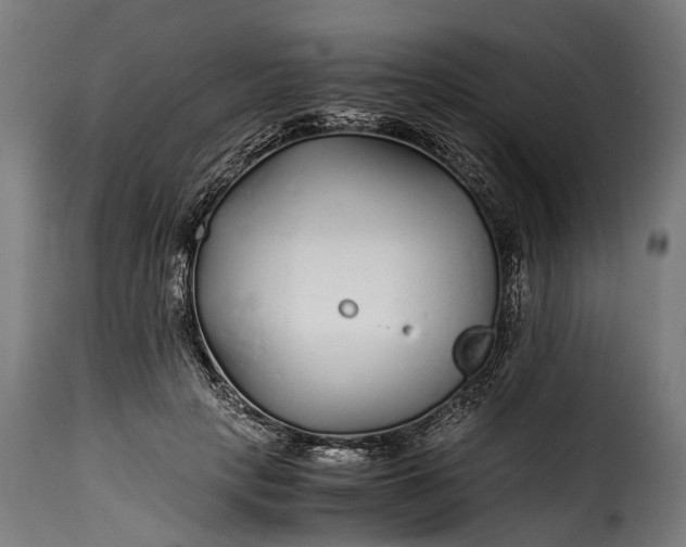 X0000115640649200911241712