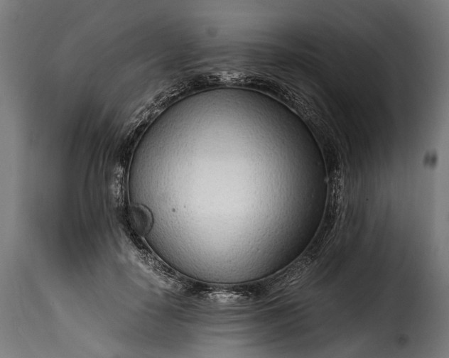 X0000115640650200911241712