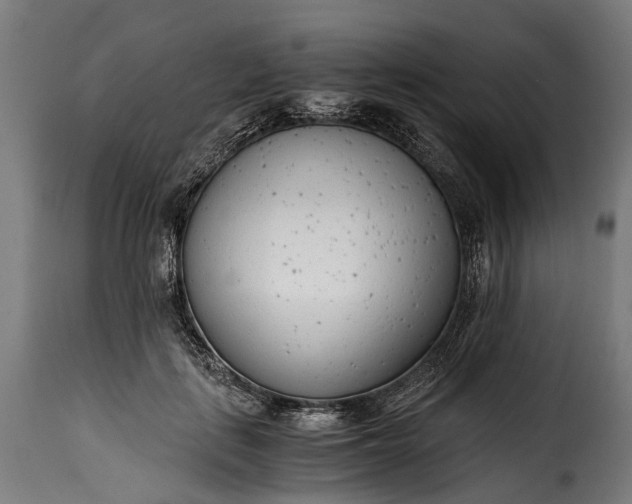 X0000115640651200911241712