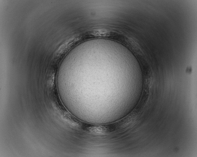 X0000115640652200911241712