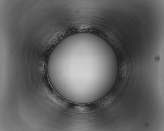 X0000115640654200911241712