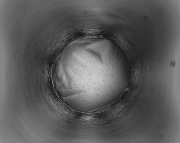 X0000115640655200911241712