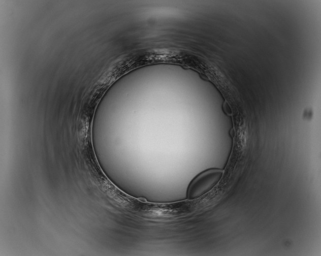 X0000115640657200911241712