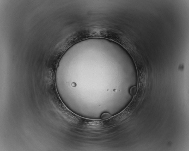 X0000115640659200911241712