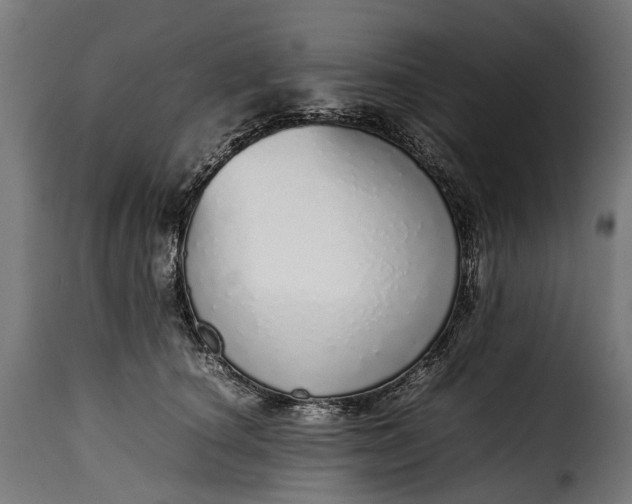 X0000115640660200911241712