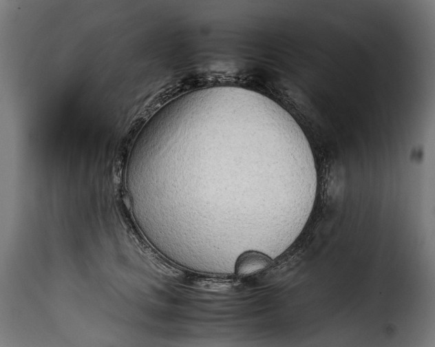 X0000115640661200911241712