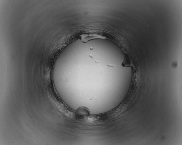 X0000115640662200911241712