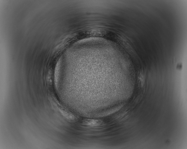 X0000115640663200911241712