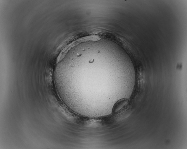 X0000115640664200911241712