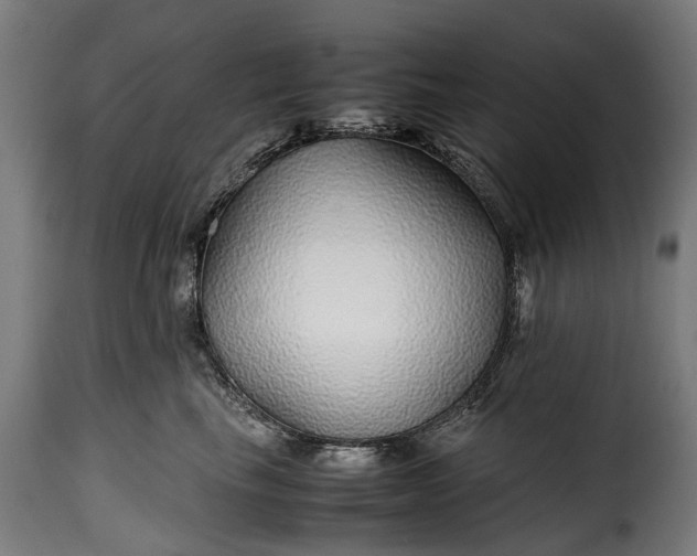 X0000115640665200911241712