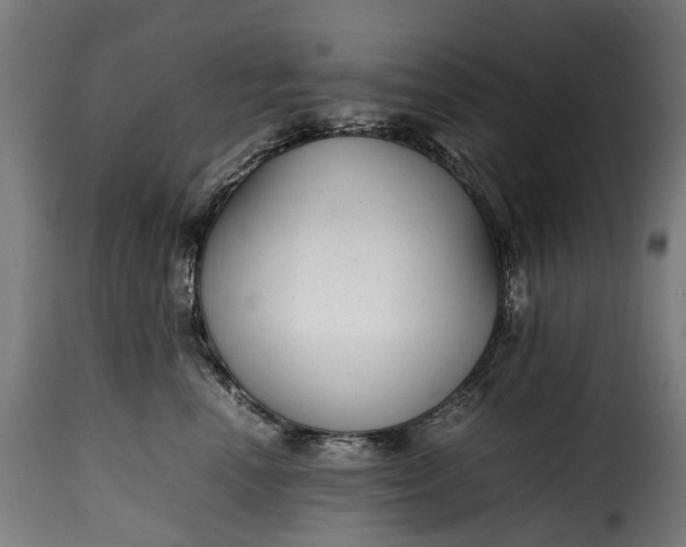 X0000115640666200911241712