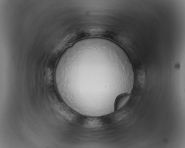 X0000115640667200911241712