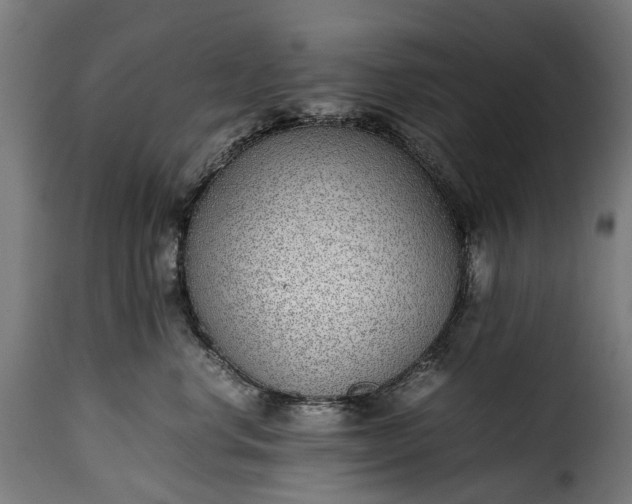 X0000115640668200911241712