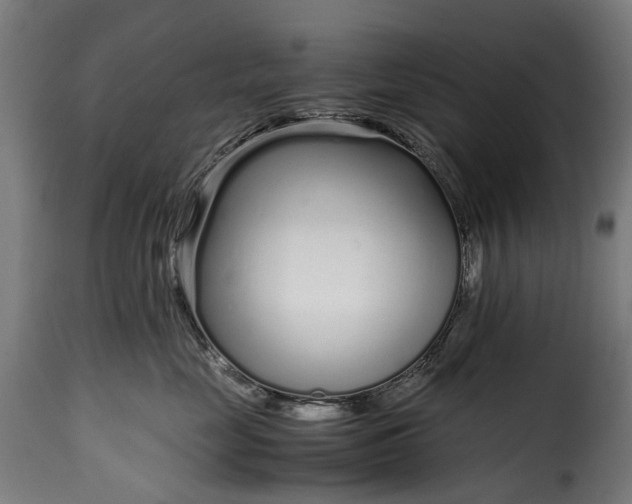 X0000115640669200911241712