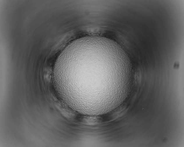 X0000115640671200911241712