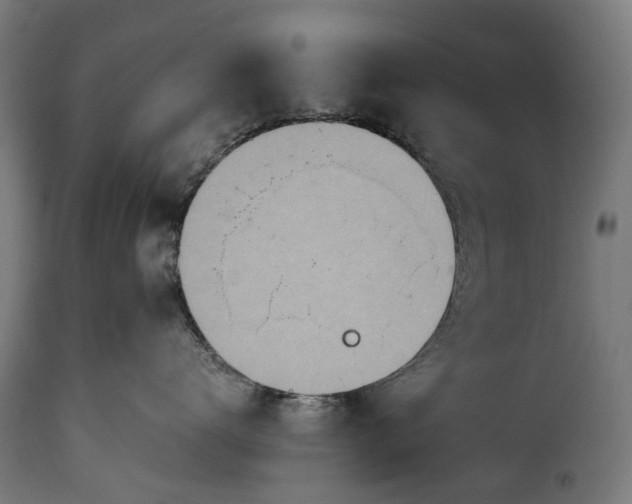 X0000115640672200911241712