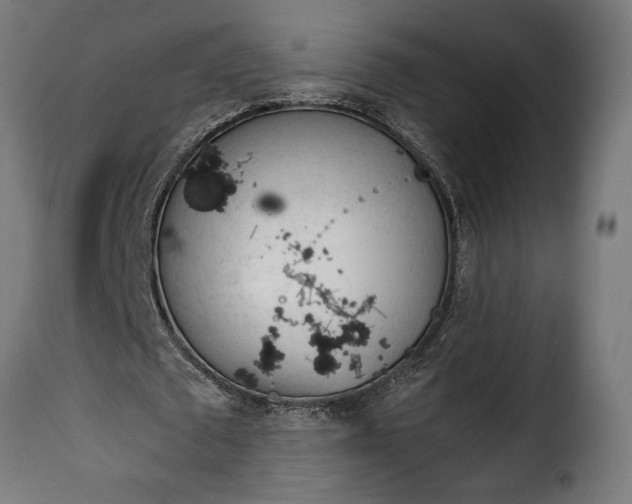 X0000115640673200911241712