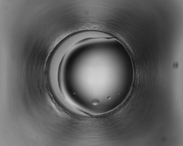 X0000115640674200911241712