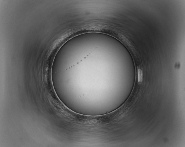 X0000115640675200911241712